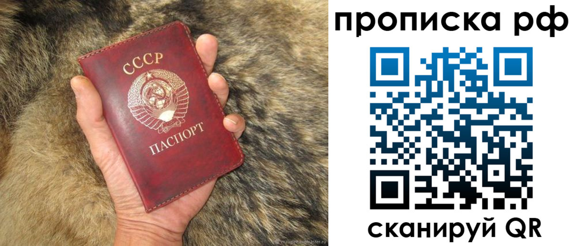 временная регистрация гарантия в Кирове